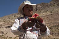 In Colca Canyon.