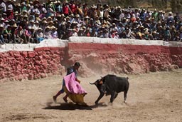 Huambo, bull arena full of people, torrero and bull. Peru bull fight.