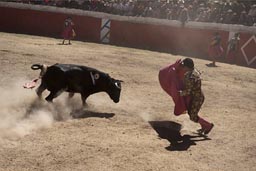 Huambo, bull arena, torrero and bull in dust. Peru bull fighting.