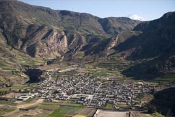 Huanca and Inca terraces, Volcan Ampato in back.