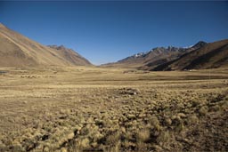 High plains, altiplano, Peru, dry valley between Puno and Cusco.