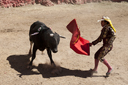Bullfight Huambo Bullfight Huambo.
