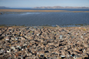 From Condor Hill, 4,017m, view over Puno and Lake Titicaca, Peru 