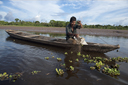 On a side arm of the Huallaga river, a Kokama Kokamilla man fishes with his net, also piranhas, Peruvian jungle Loreto. On a side arm of the Huallaga river, a Kokama Kokamilla man fishes with his net, also piranhas, Peruvian jungle Loreto.