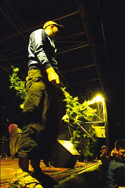 A guy who jumped onto the stage with a bush of marihuana