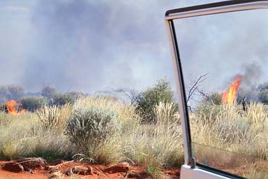 Bush fires out of car
