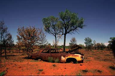 Car wreck rusting away