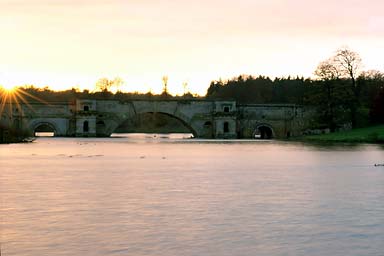 Bridge in Park