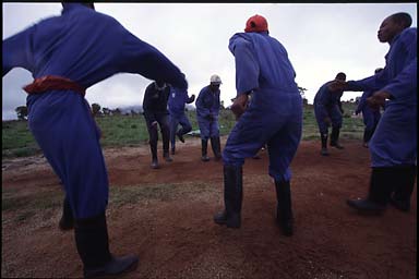 Gumboots