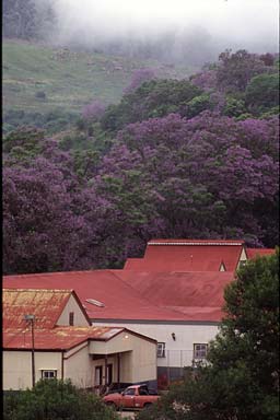 somwhere west of Kruger