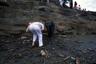 Elephant sanctuary