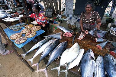 woman selling fish