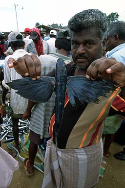 man showing flying fish