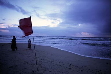 Nilavelli beach