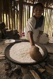 Spread the yuca rasple on stove. The making of yuca bread in Ecuador jungle, by Indigena woman. Yuca is Cassava.